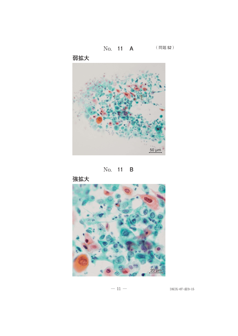 第71回午前問52の公式原図。判読用の原画像。
