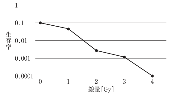 選択肢1の図（公式問題PDFより）