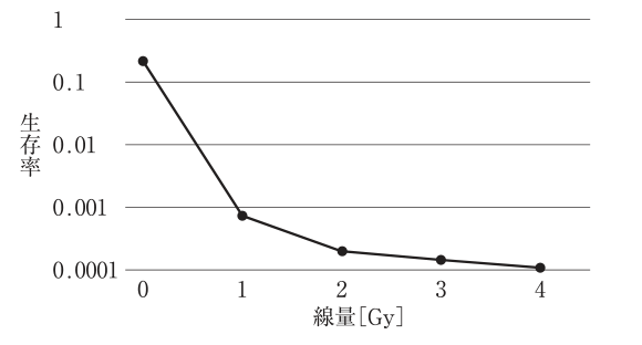 選択肢2の図（公式問題PDFより）