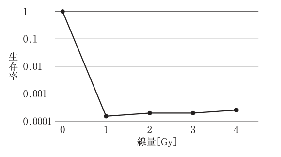 選択肢3の図（公式問題PDFより）