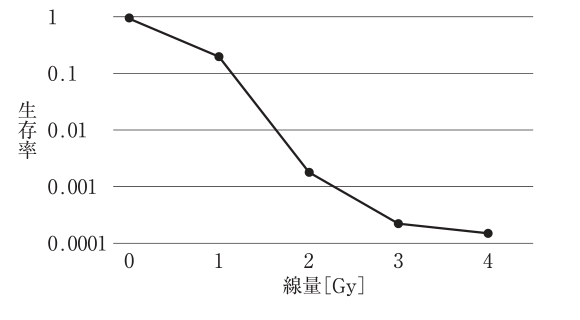 選択肢4の図（公式問題PDFより）