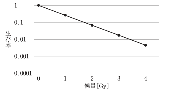 選択肢5の図（公式問題PDFより）