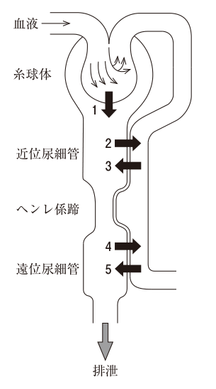 問45の図表1