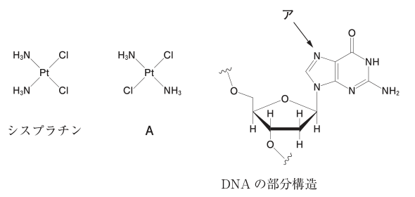 厚生労働省公式問題の原図。シスプラチン、異性体Ａ、DNAの部分構造。結合と原子表示、グアニンの窒素を示す矢印アを含む。