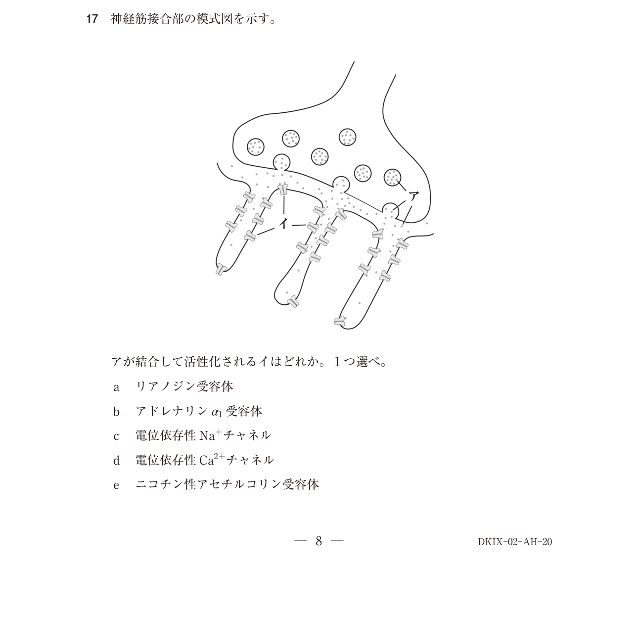 118A017 原問内の図・歯式・数式の確認用原本