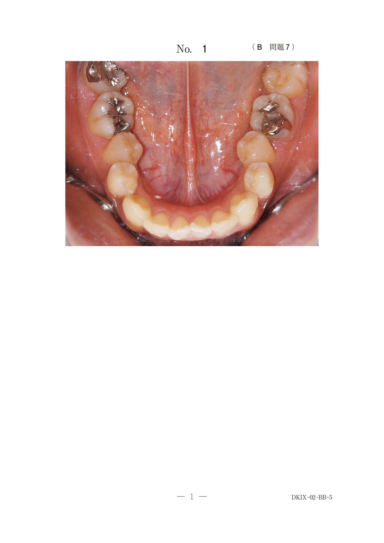 118B 別冊 No.1(原本の見出し・A/B等ラベルを含む)
