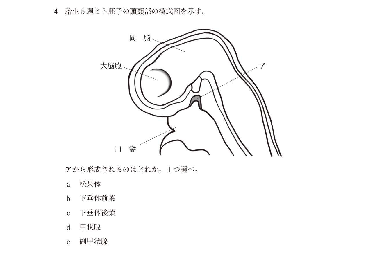 118D004 原問内の図・歯式・数式の確認用原本