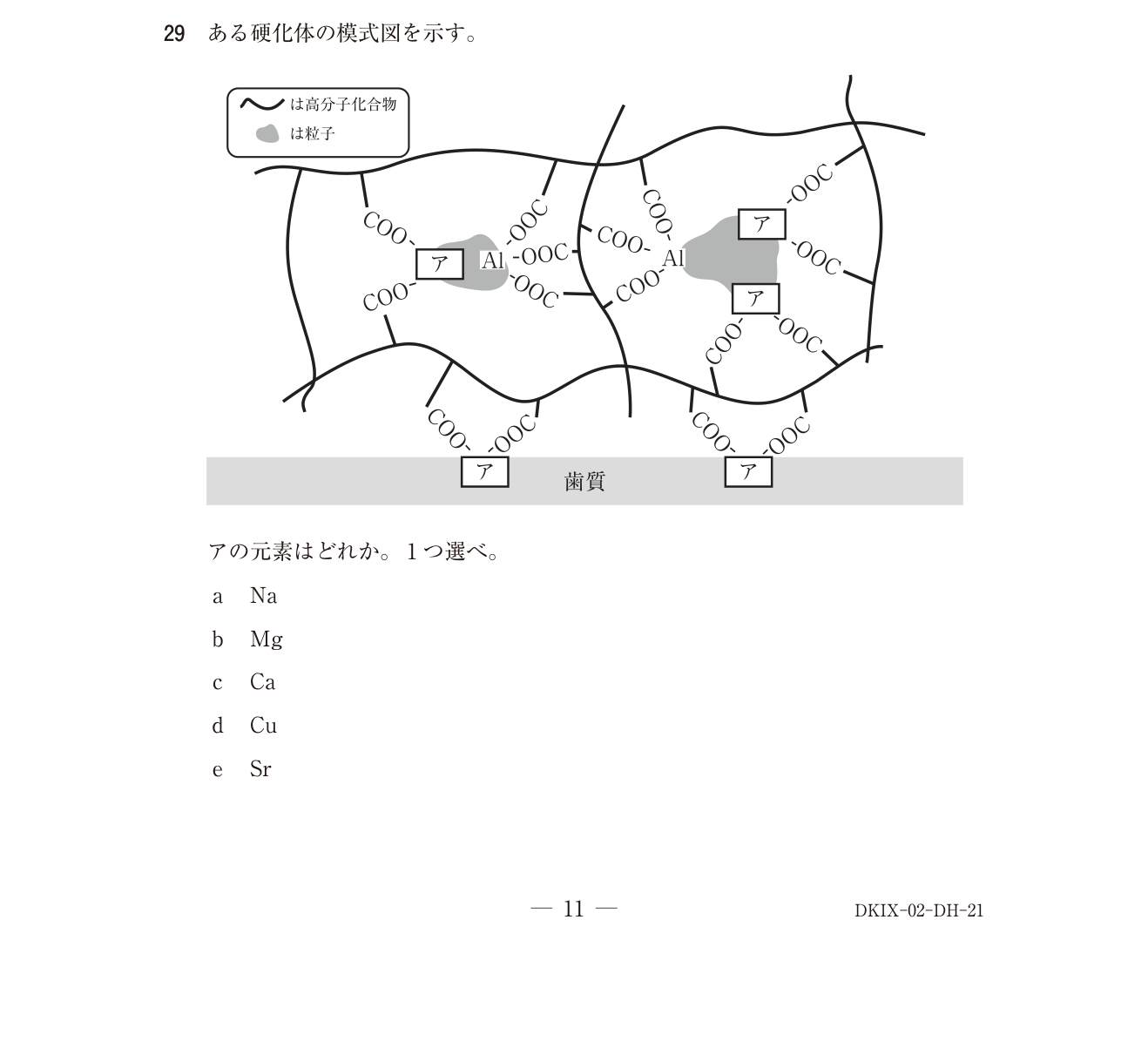 119D029 原問内の図・歯式・数式の確認用原本